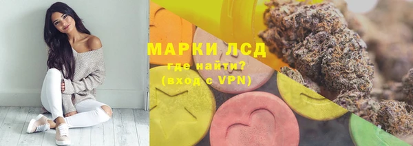 сатива Абаза