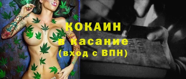 сатива Абаза