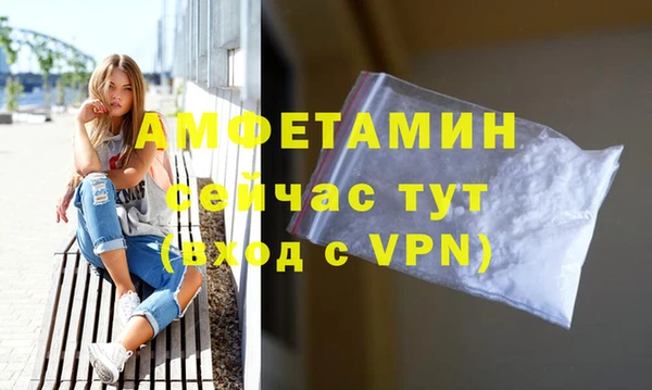 сатива Абаза