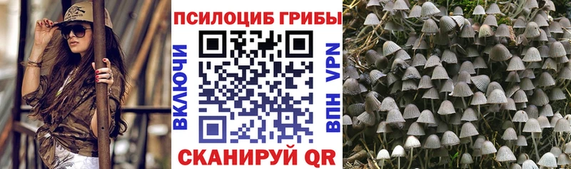 где купить наркоту Норильск Галлюциногенные грибы MAGIC MUSHROOMS