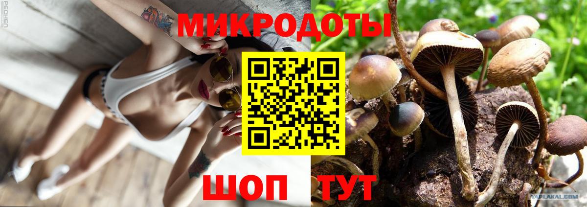 Галлюциногенные грибы MAGIC MUSHROOMS  Вход с VPN  Норильск  Галлюциногенные грибы мицелий 